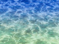 De qué color poner la piscina