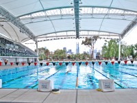 Vocabulario de piscinas (I)
