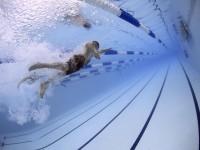 Mantenimiento de la piscina en invierno (I)