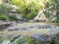 Piscinas naturales en Valencia