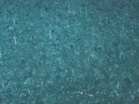 Cómo mantener la piscina tras las lluvias