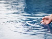 Cómo acabar con los bichos de las piscinas